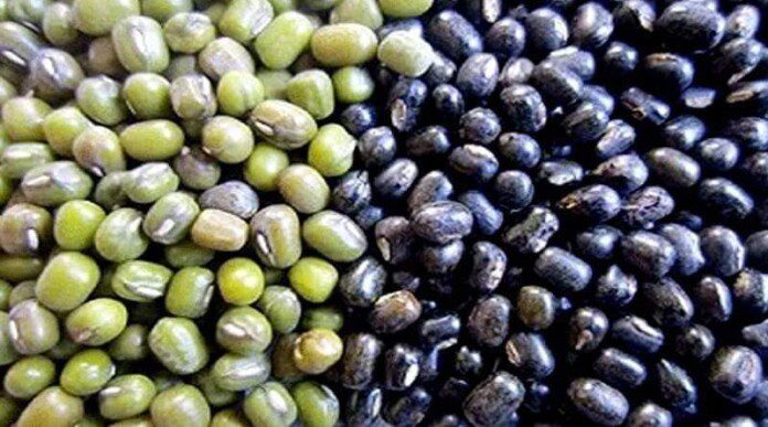 FB_IMG_1719769881717