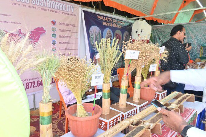 FB_IMG_1743349773769