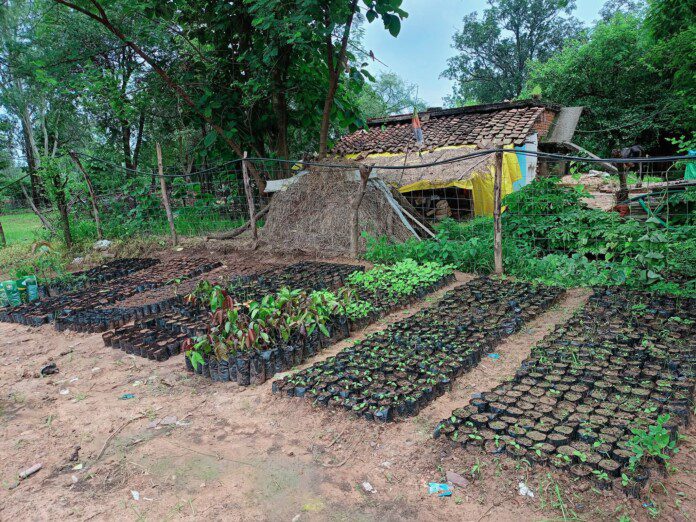 FB_IMG_1753287816893