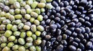 FB_IMG_1753288563248