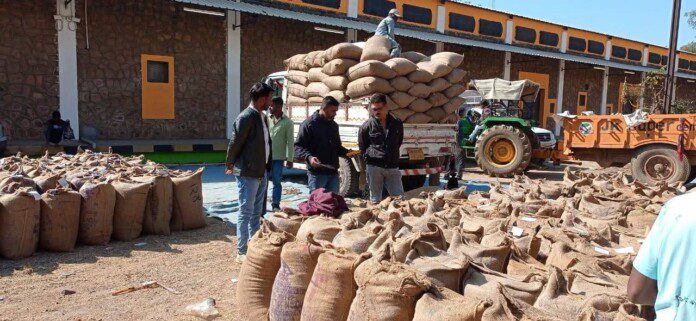 FB_IMG_1765632650738