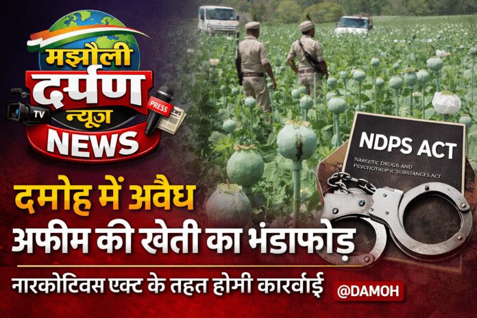 ChatGPT Image Mar 8, 2026, 12_04_56 PM